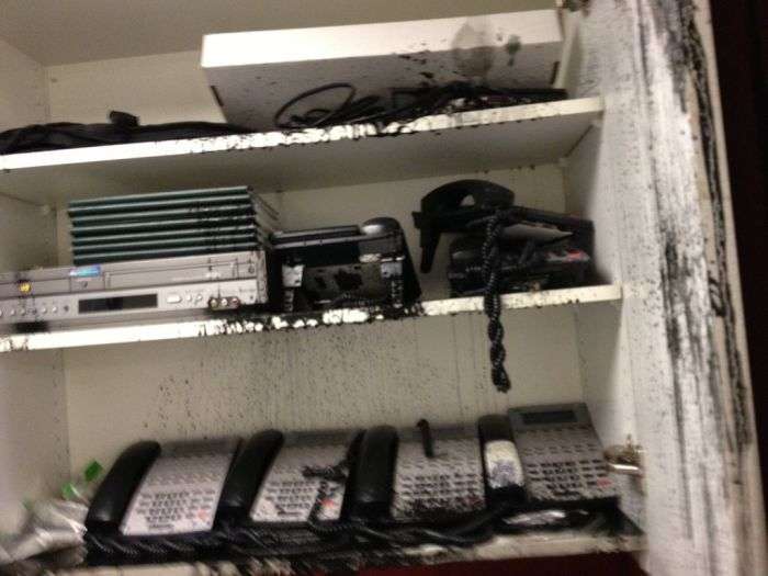 Коли офіс затоплює чорною рідиною (35 фото)