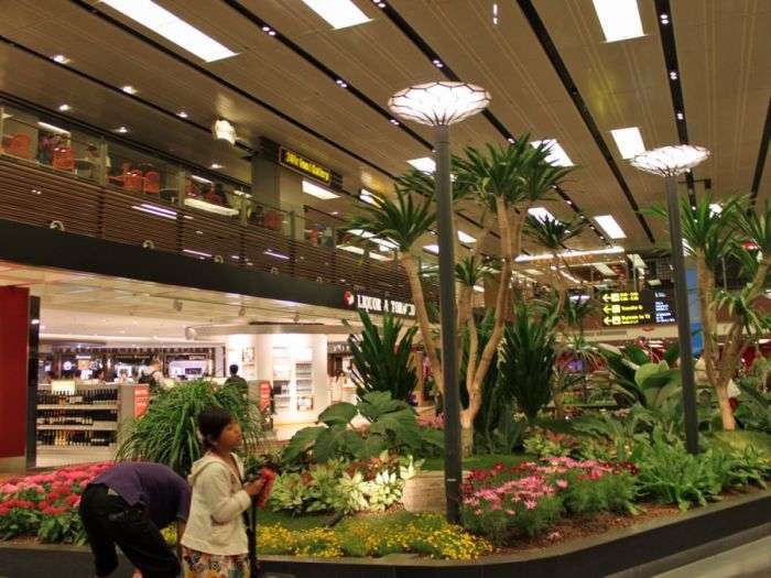Чангі - сінгапурський аеропорт, у якому не засумуєш (28 фото)