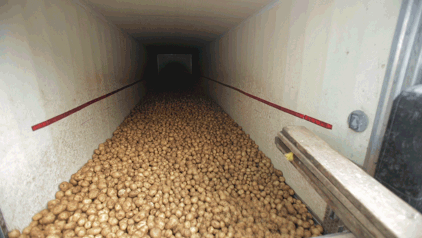 Як виробляють картопляні чіпси (5 гифок)