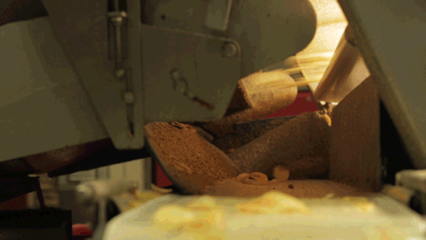 Як виробляють картопляні чіпси (5 гифок)